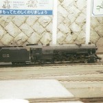 川口市立グリーンセンター