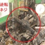 D51の逆転ネジ