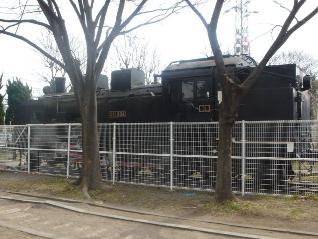 C11形機関車 (C11 304)