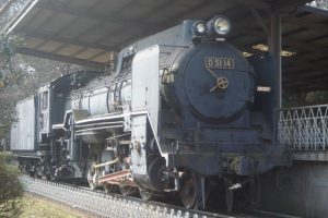 D51形機関車 (D51 14)