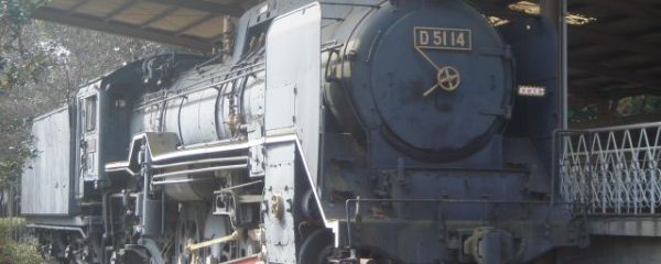 D51形機関車 (D51 14)