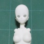 1/6可動デッサンドール