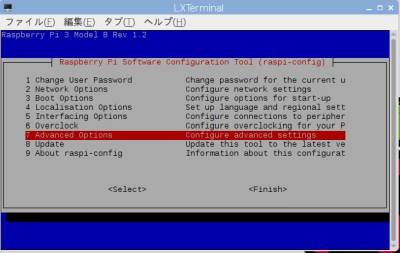 Raspberry Piの「Software Configuration Tool」画面