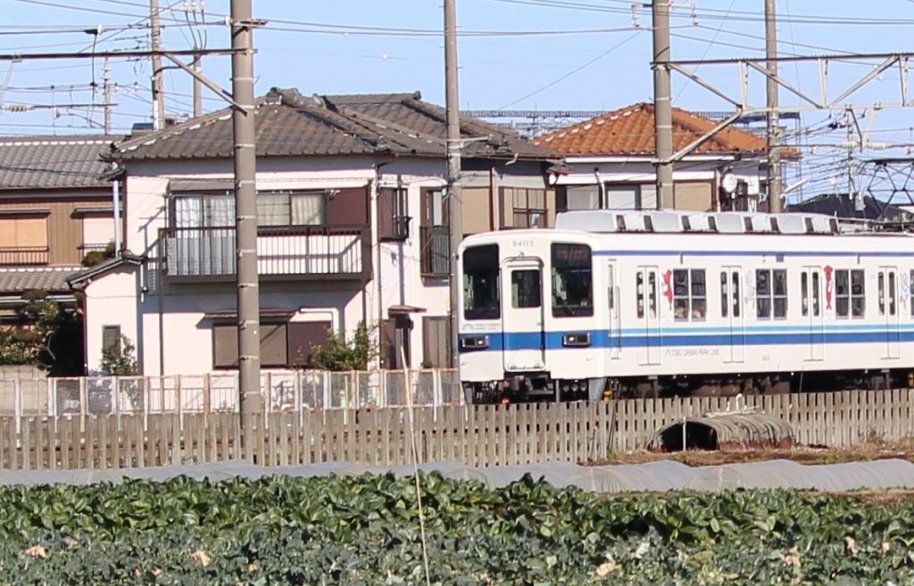 建物と車両の高さ比較