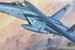 ハセガワ 1/72 F-15D/DJ EAGLE パッケージ