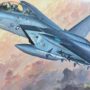 ハセガワ 1/72 F-15D/DJ EAGLE パッケージ