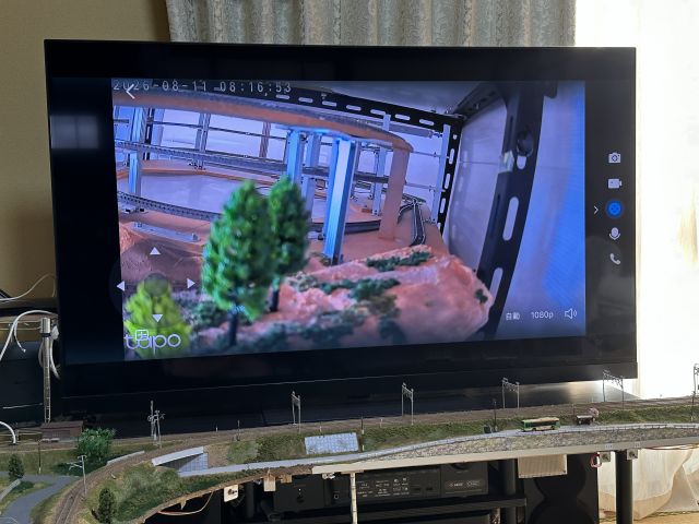 Nゲージ ドッグボーン型レイアウト ペットカメラ