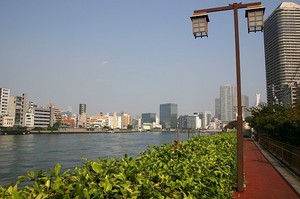 佃大橋付近から隅田川を望む