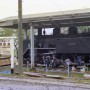 C11形機関車 (C11 244)