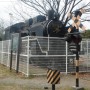 C11形機関車 (C11 304)