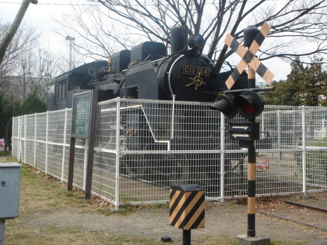 C11形機関車(C11 304)