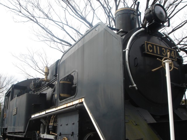 C11形機関車(C11 304)