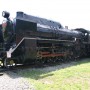 D51形機関車 (D51 96)