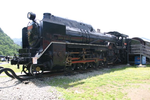 D51形機関車 (D51 96)
